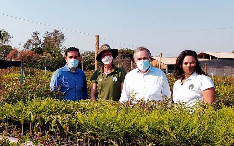 20 trees per electric forklift