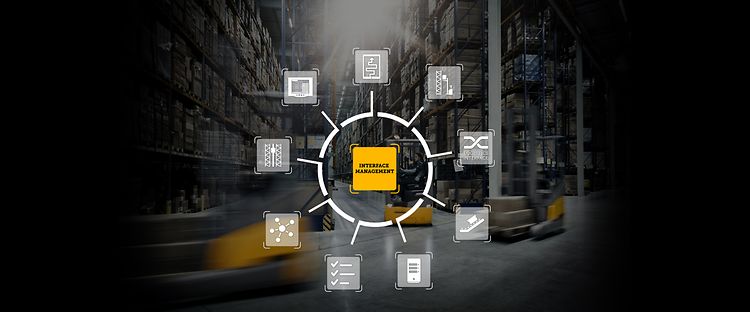Picture Interface Management