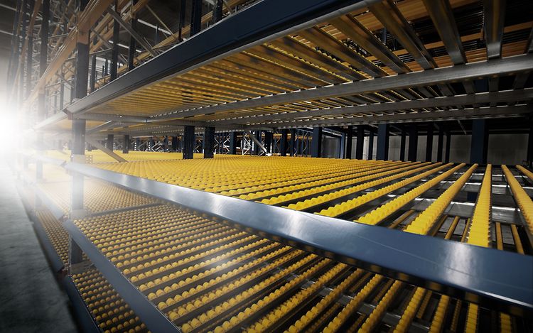 Stage 通廊货架(1)